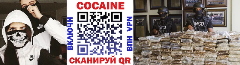 Cocaine FishScale  Купить  Новоалександровск 