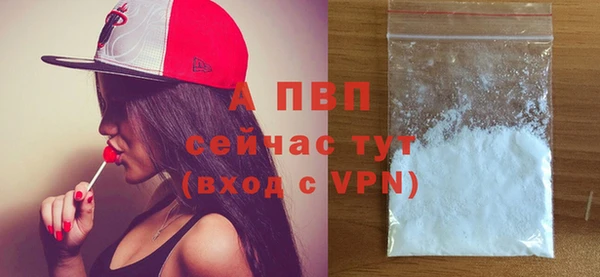 винт Вяземский