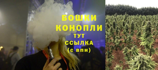 винт Вяземский