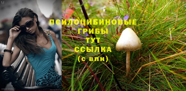 ГАЛЛЮЦИНОГЕННЫЕ ГРИБЫ Вязьма