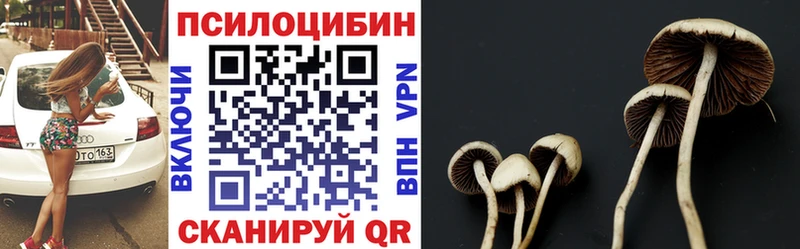 Купить закладки  Новоалександровск  Псилоцибиновые грибы Psilocybe 